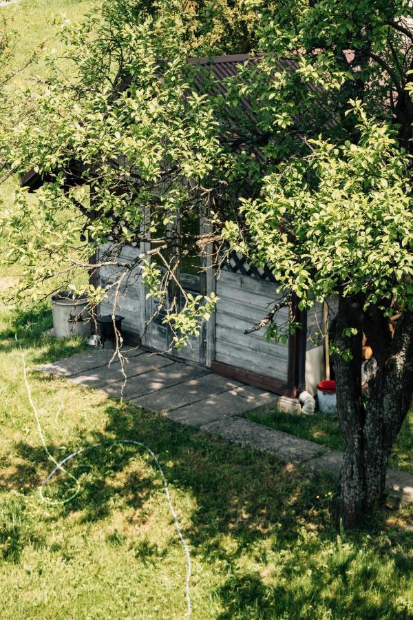 Apartamenty Madzia Вісла Екстер'єр фото