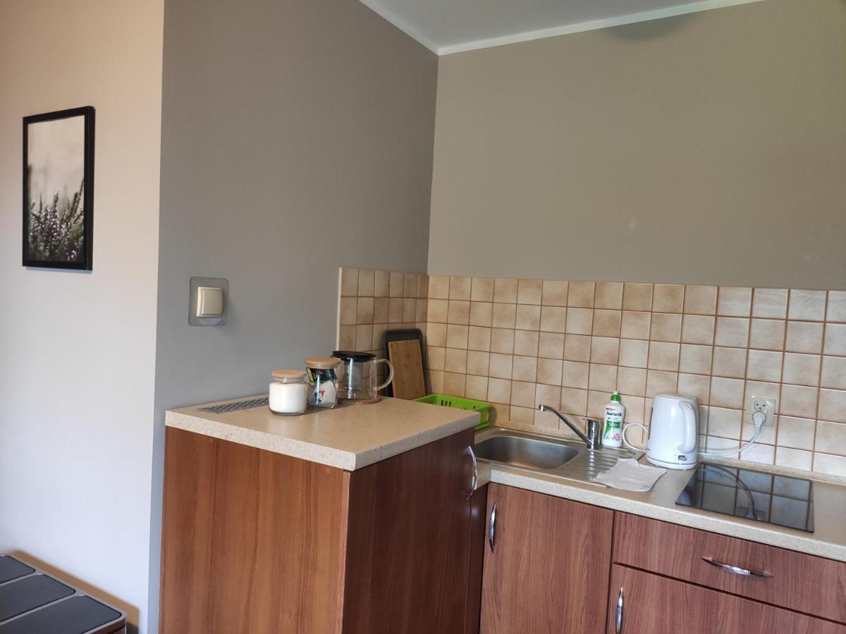 Apartamenty Madzia Вісла Екстер'єр фото